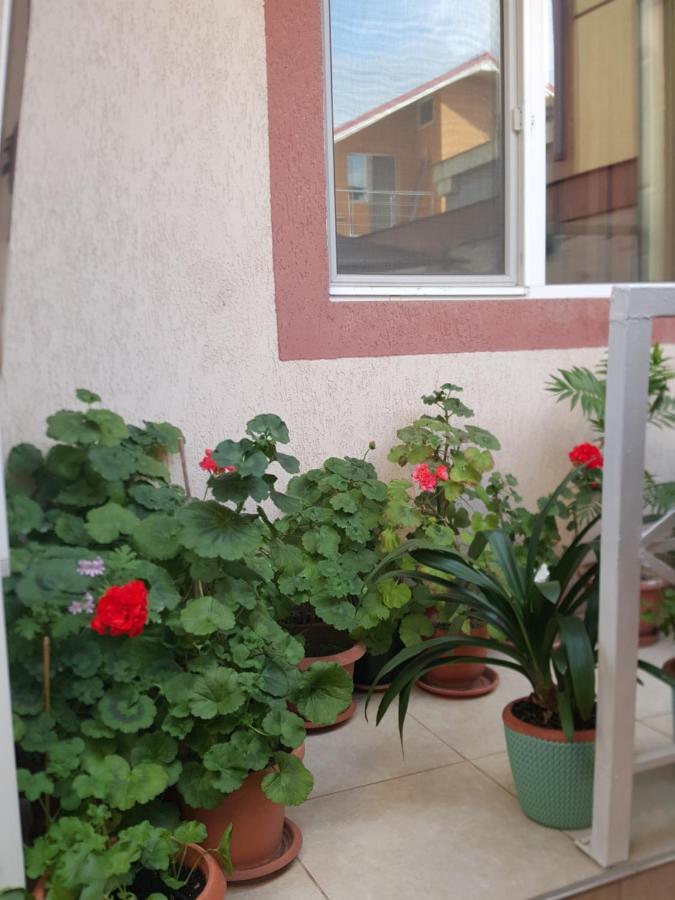 Vila Liz Eforie Nord Hotel Luaran gambar