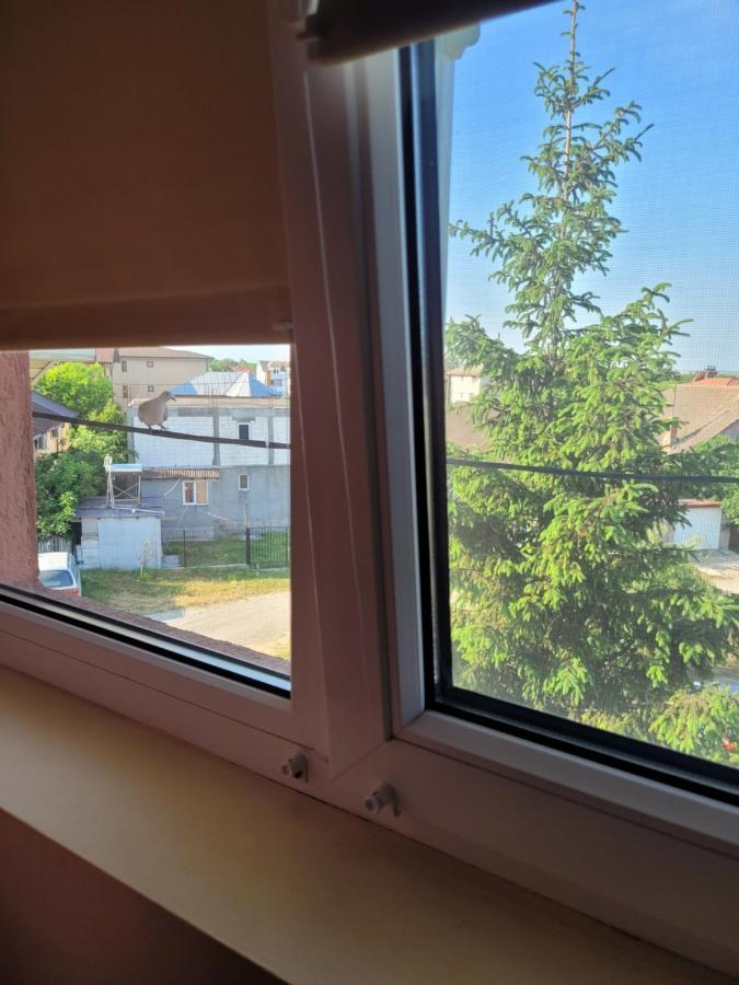 Vila Liz Eforie Nord Hotel Luaran gambar